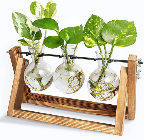 Glass Planter Bulb Vase with Retro Solid Wooden Stand and Metal Swivel Holder for Hydroponics Plants